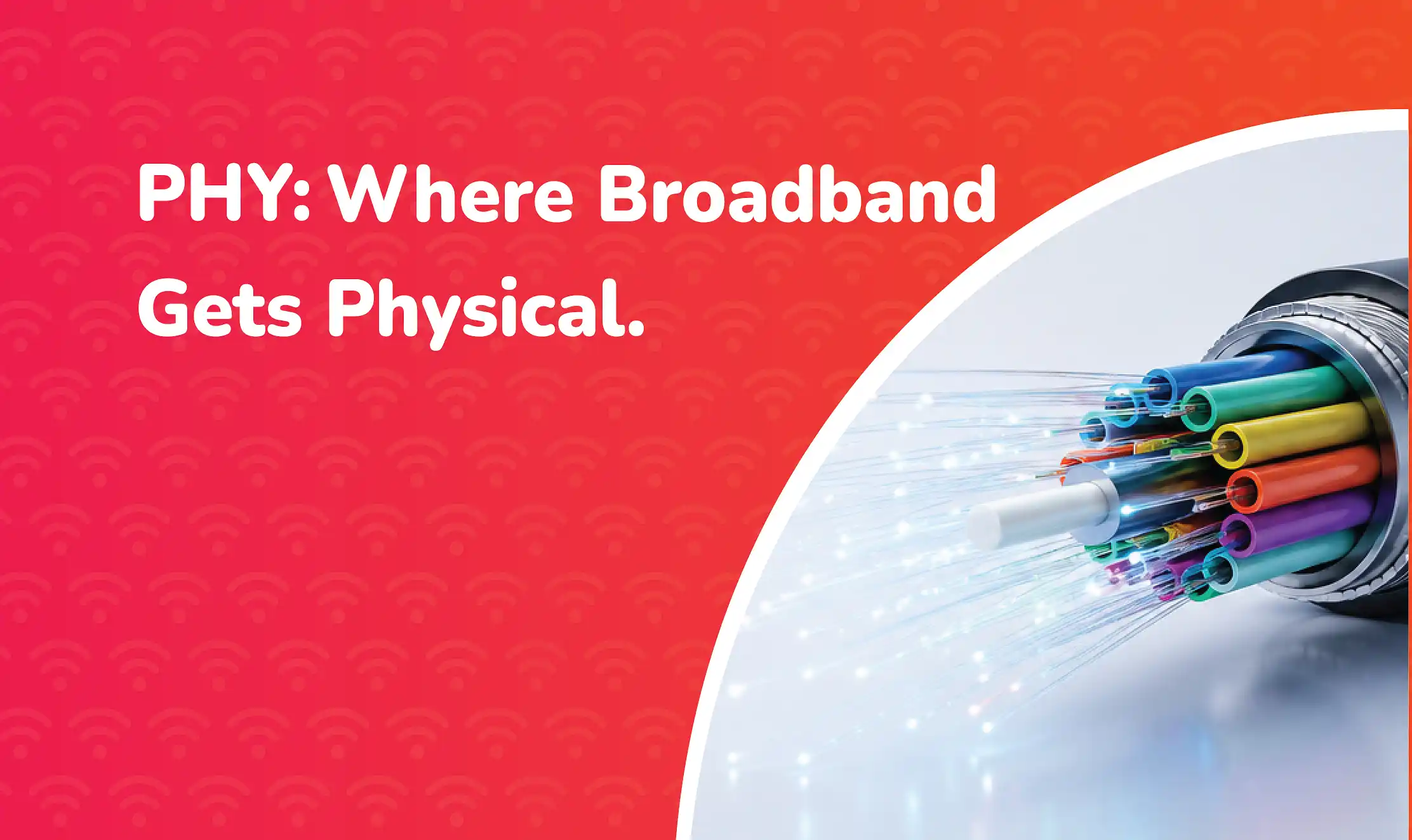 A close-up 3D illustration of a fibre-optic broadband cable on the right side of the image, with its outer jacket peeled back to reveal brightly coloured internal tubes and glowing optical fibres transmitting light.