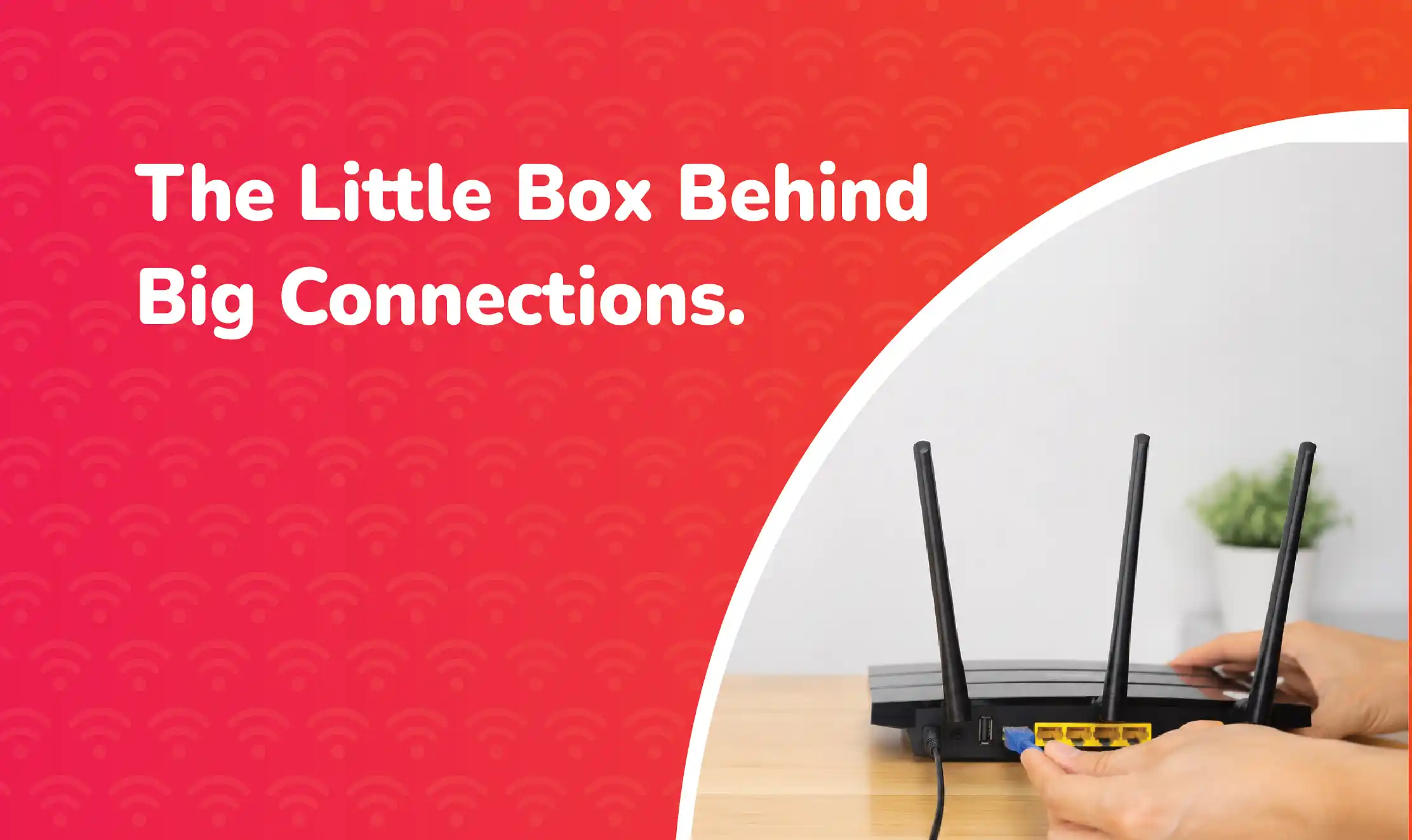 A person connects a blue Ethernet cable to the back of a black Wi-Fi router with three antennas on a wooden desk.