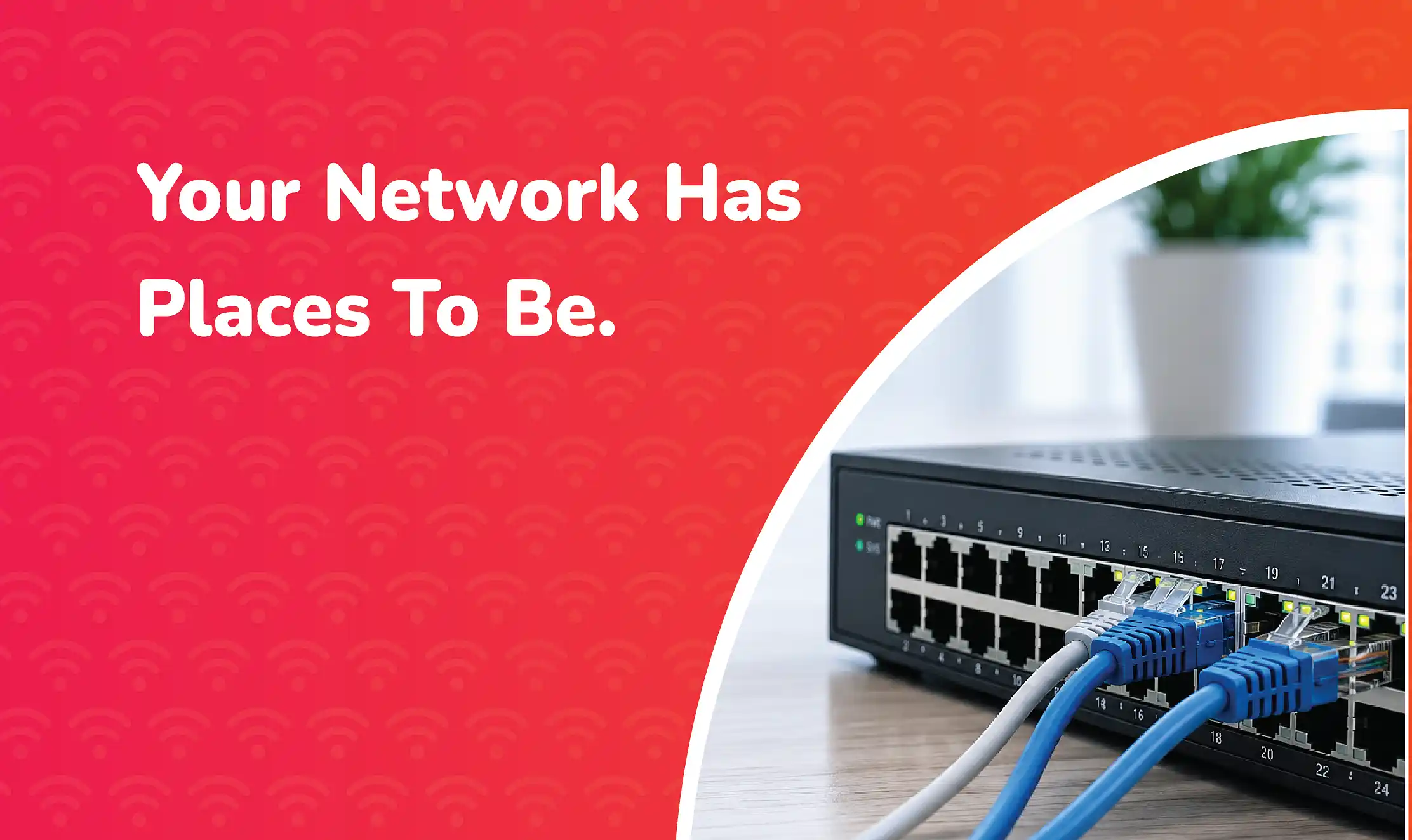 Network switch with Ethernet cables connected, illustrating high-speed 10 Gigabit Ethernet (10 GbE) networking in a modern business environment.